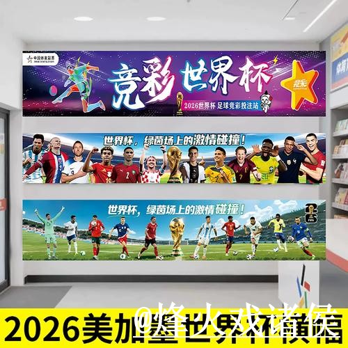 世界杯手机投注操作说明，登录方式和平台稳定性怎么处理